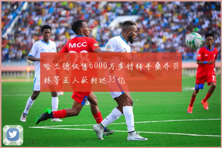 哈兰德仅售6000万多特转手桑乔贝林等五人获利达35亿