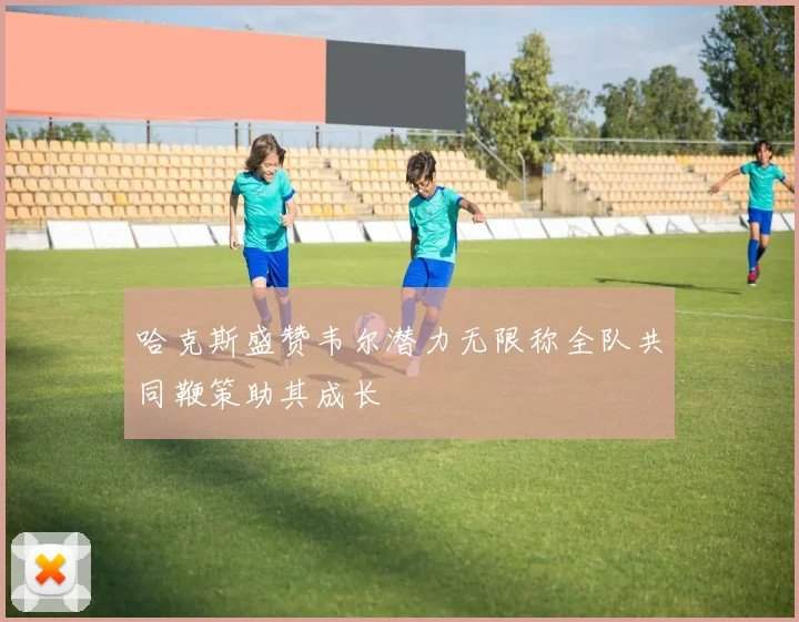 哈克斯盛赞韦尔潜力无限称全队共同鞭策助其成长