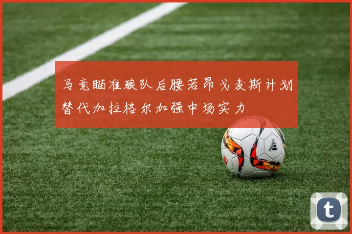 马竞瞄准狼队后腰若昂戈麦斯计划替代加拉格尔加强中场实力