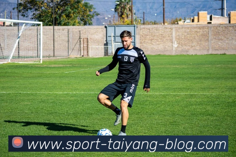 太阳城平台生态图